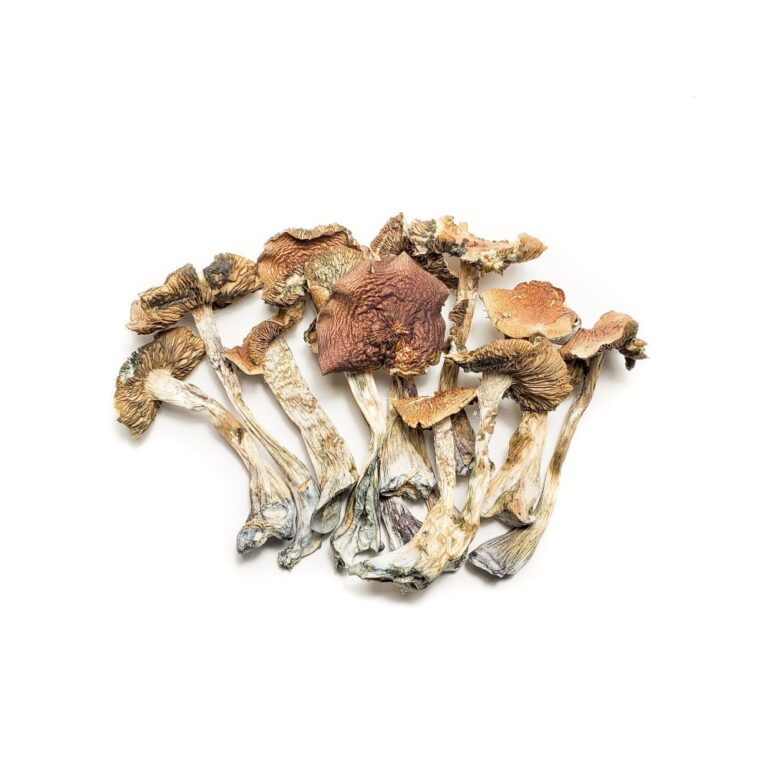Cluster of dried mushrooms with wrinkled caps and slender pale stems in brown and tan tones